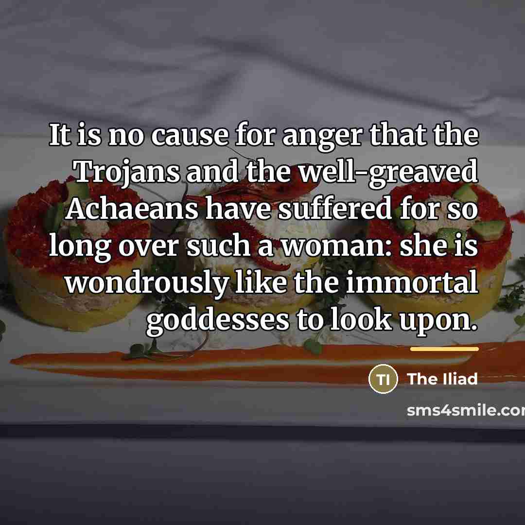 “It is no cause for anger that the Trojans and…” quote by The Iliad