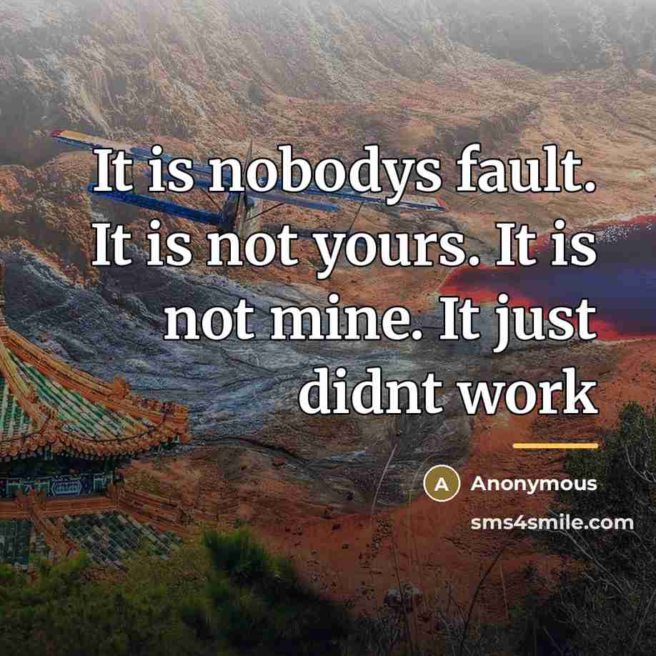 “It is nobodys fault. It is not yours. It is…” quote by Anonymous