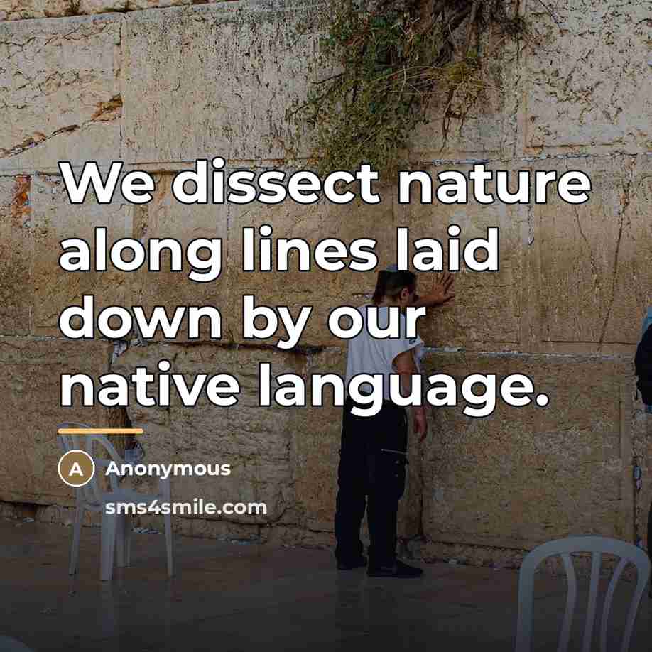 “We dissect nature along lines laid down by our native…” quote by Anonymous