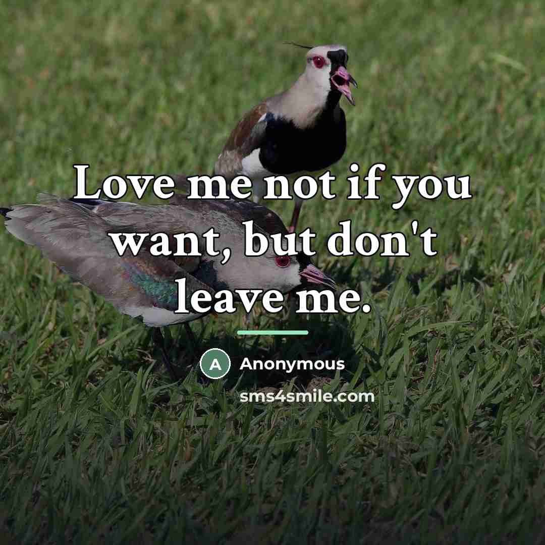 “Love me not if you want, but don't leave me.…” quote by Anonymous