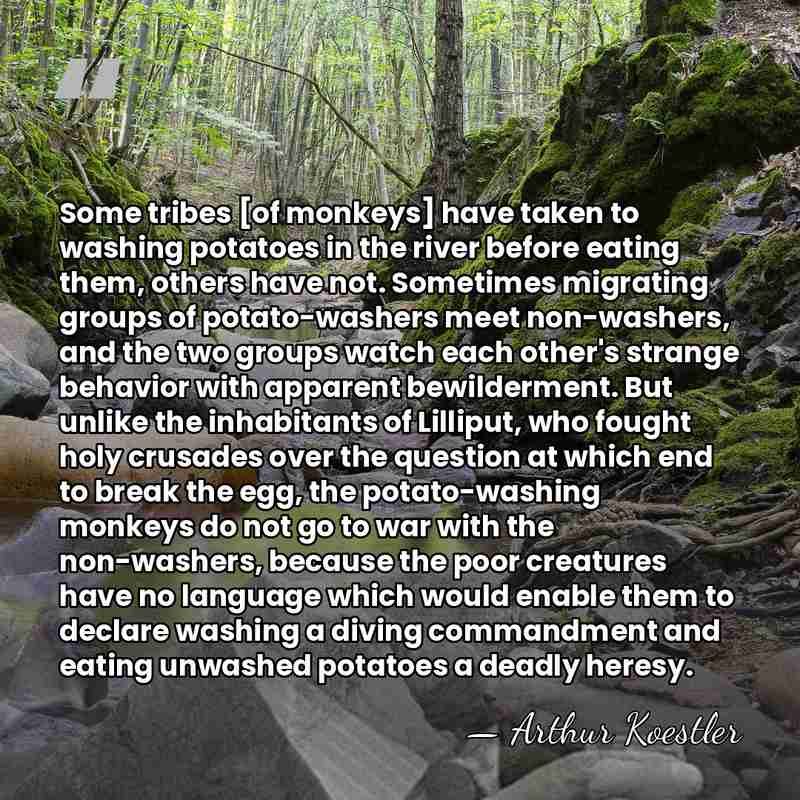 Some tribes [of monkeys] have taken to washing potatoes in the river&hellip; - Arthur Koestler