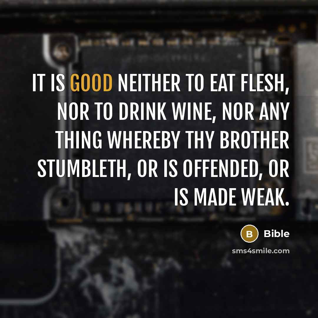 “It is good neither to eat flesh, nor to drink…” quote by Bible