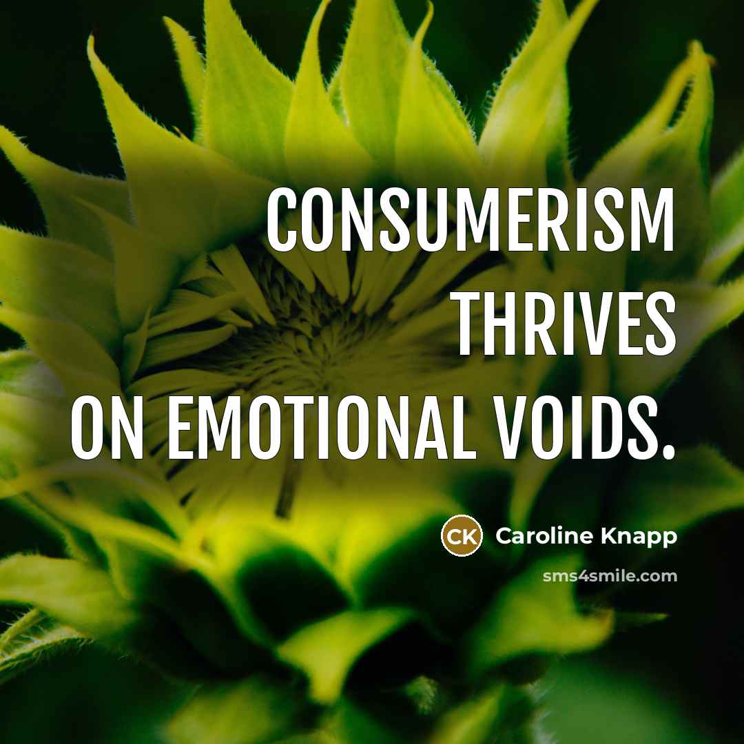 “Consumerism thrives on emotional voids.…” quote by Caroline Knapp