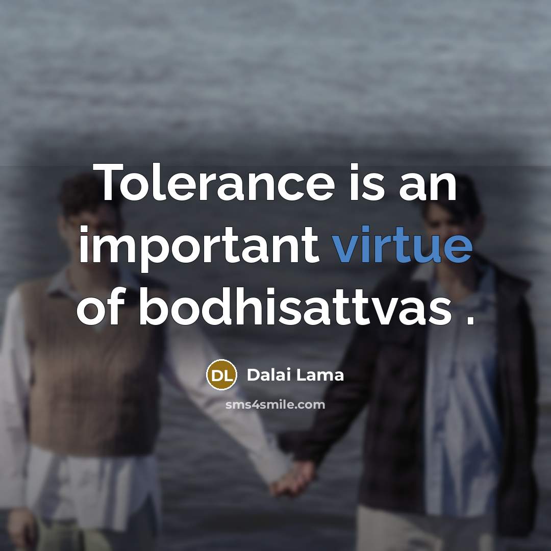 “Tolerance is an important virtue of bodhisattvas .…” quote by Dalai Lama
