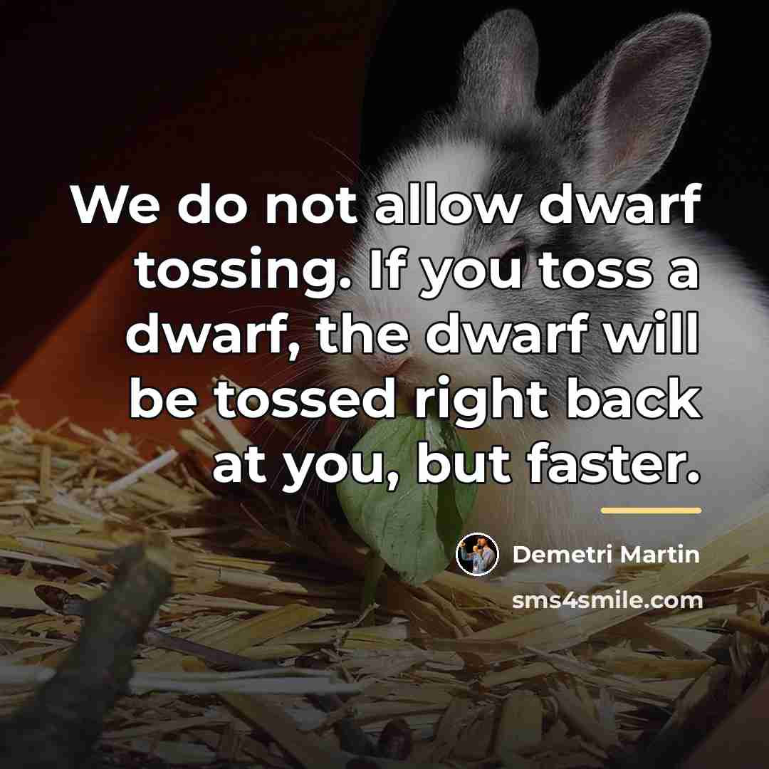 “We do not allow dwarf tossing. If you toss a…” quote by Demetri Martin