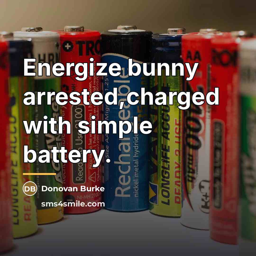 “Energize bunny arrested,charged with simple battery.…” quote by Donovan Burke
