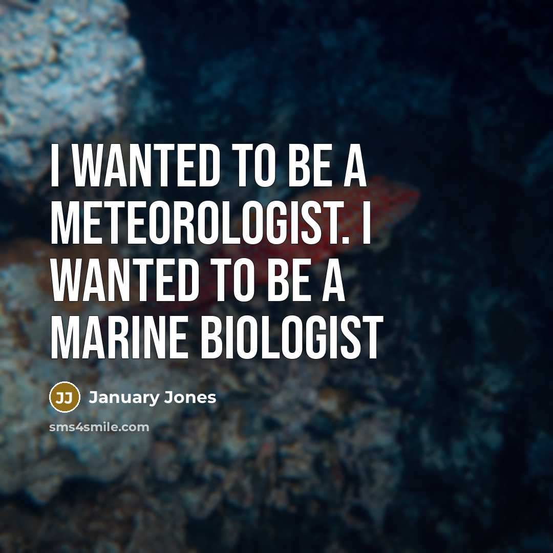 “I wanted to be a meteorologist. I wanted to be…” quote by January Jones