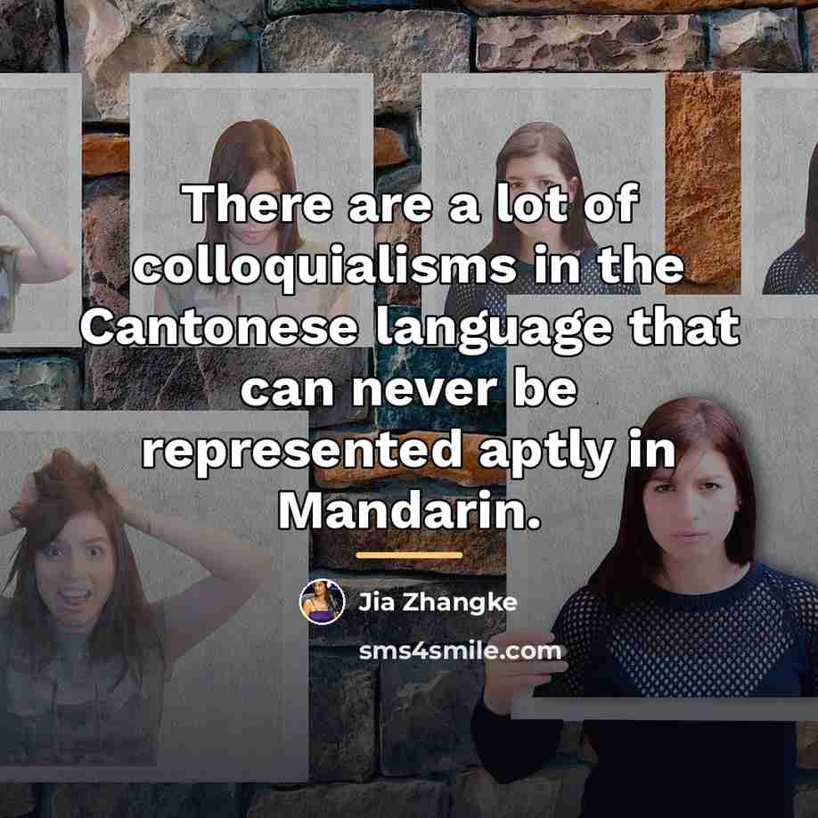 “There are a lot of colloquialisms in the Cantonese language…” quote by Jia Zhangke