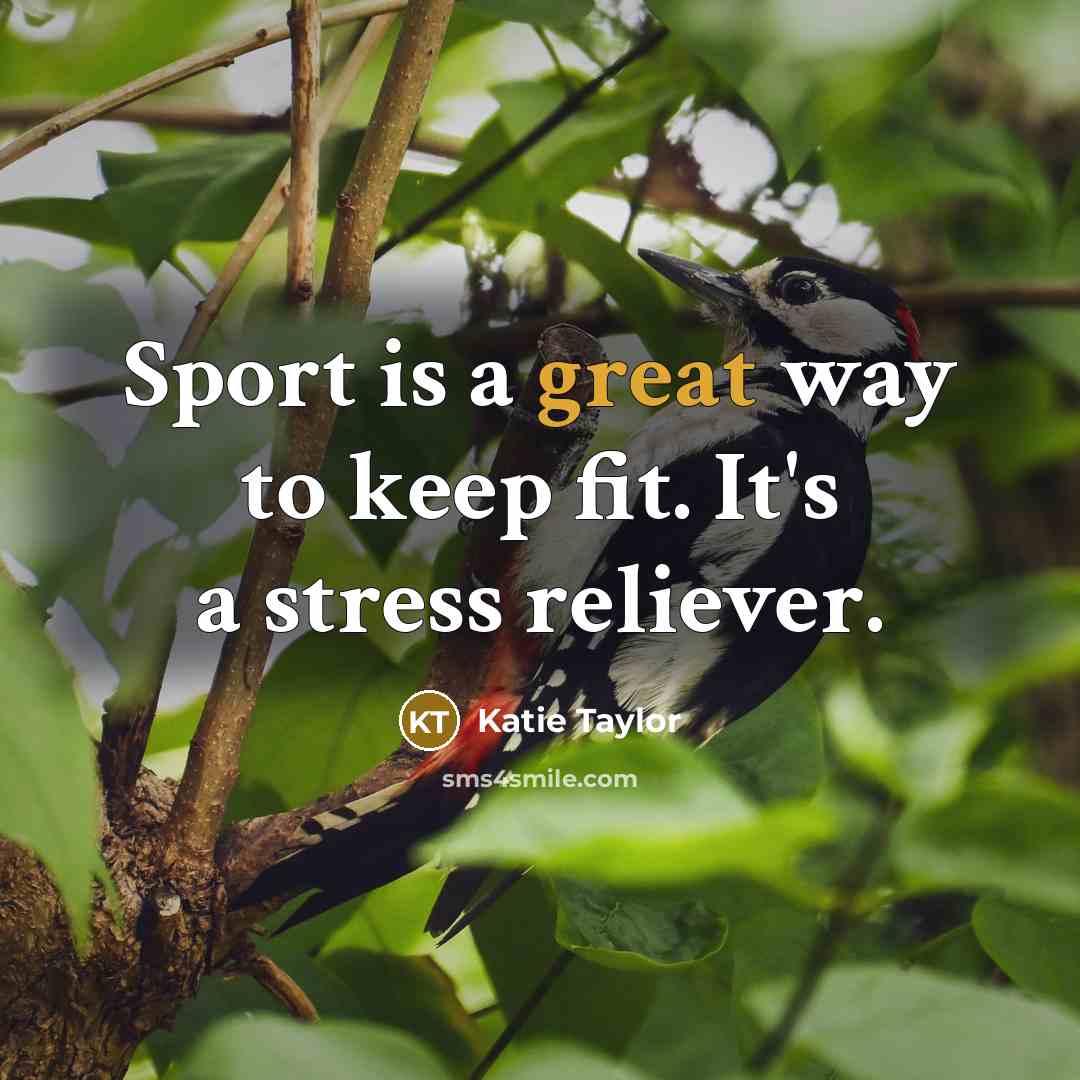 “Sport is a great way to keep fit. It's a…” quote by Katie Taylor