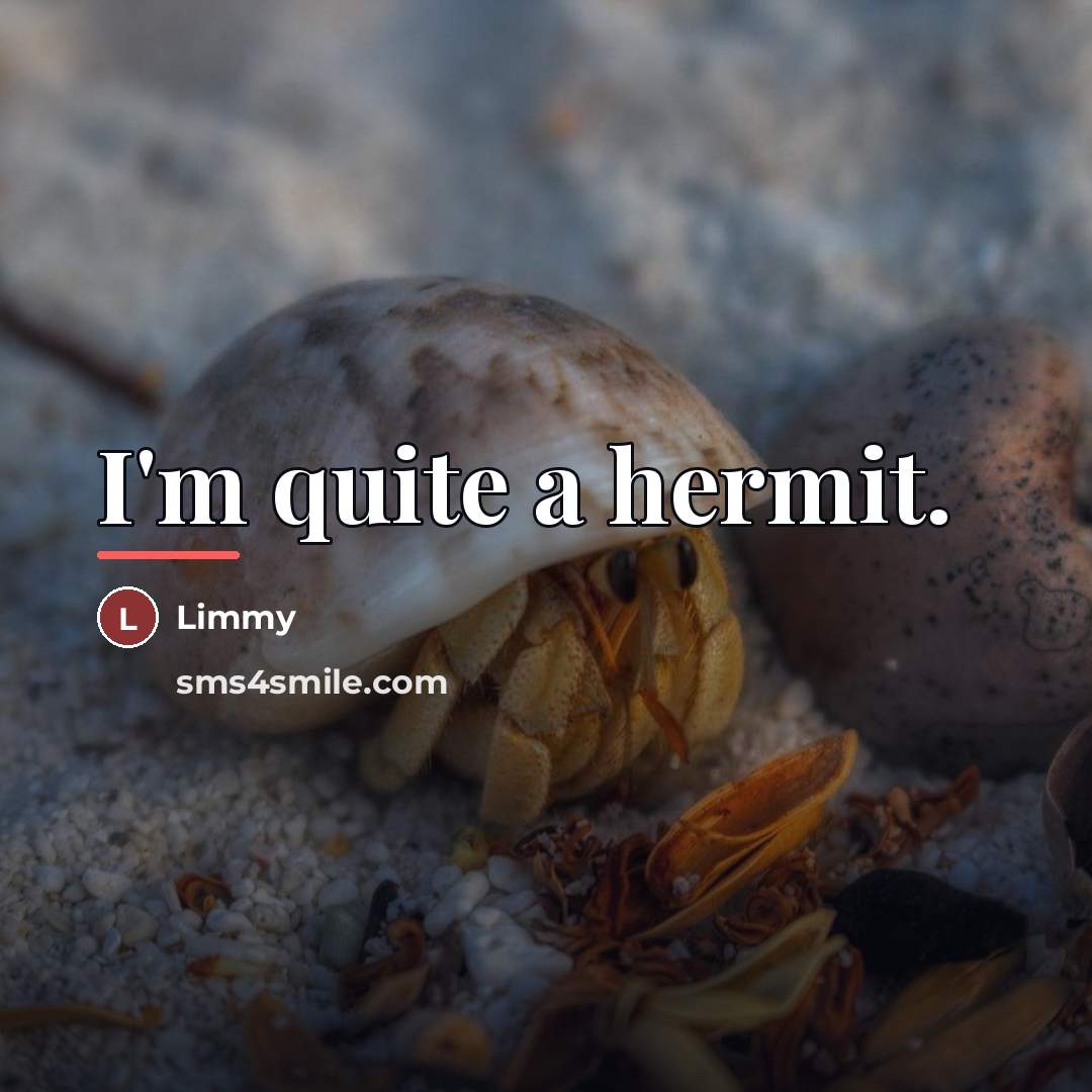 “I'm quite a hermit.…” quote by Limmy