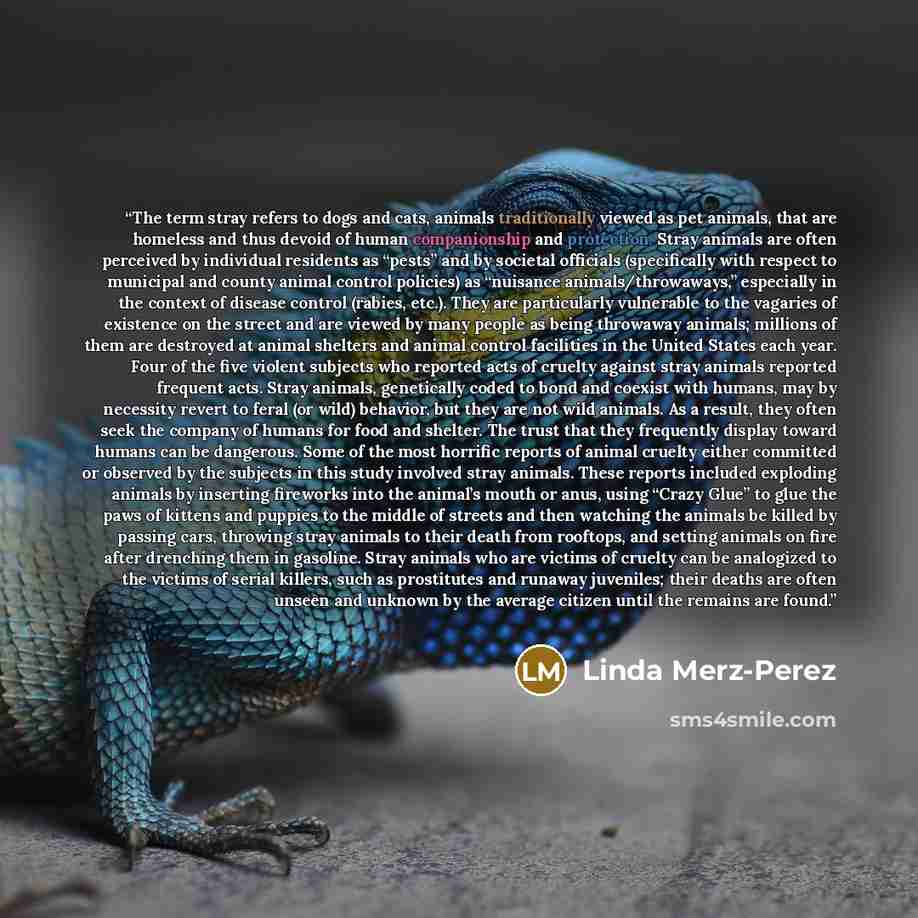 “The term stray refers to dogs and cats, animals traditionally viewed as pet animals, that are homeless and thus devoid of human companionship and protection. Stray animals are often perceived by individual residents as “pests” and by societal officials (specifically with respect to municipal and…” quote by Linda Merz-Perez