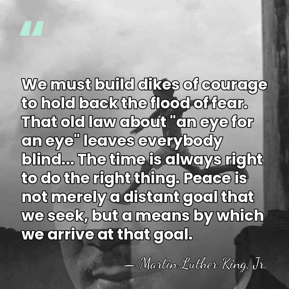 We must build dikes of courage to hold back the flood of&hellip; - Martin Luther King, Jr.