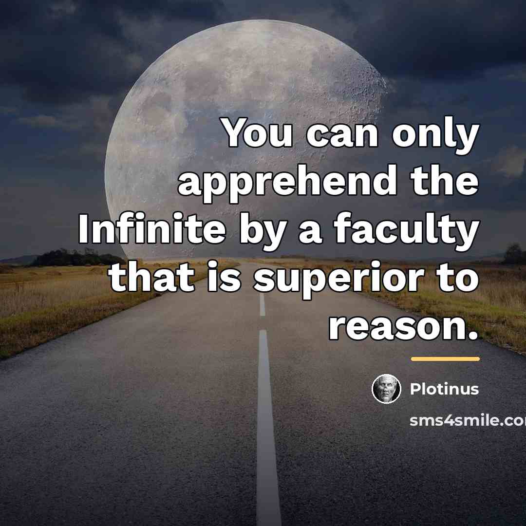 “You can only apprehend the Infinite by a faculty that…” quote by Plotinus