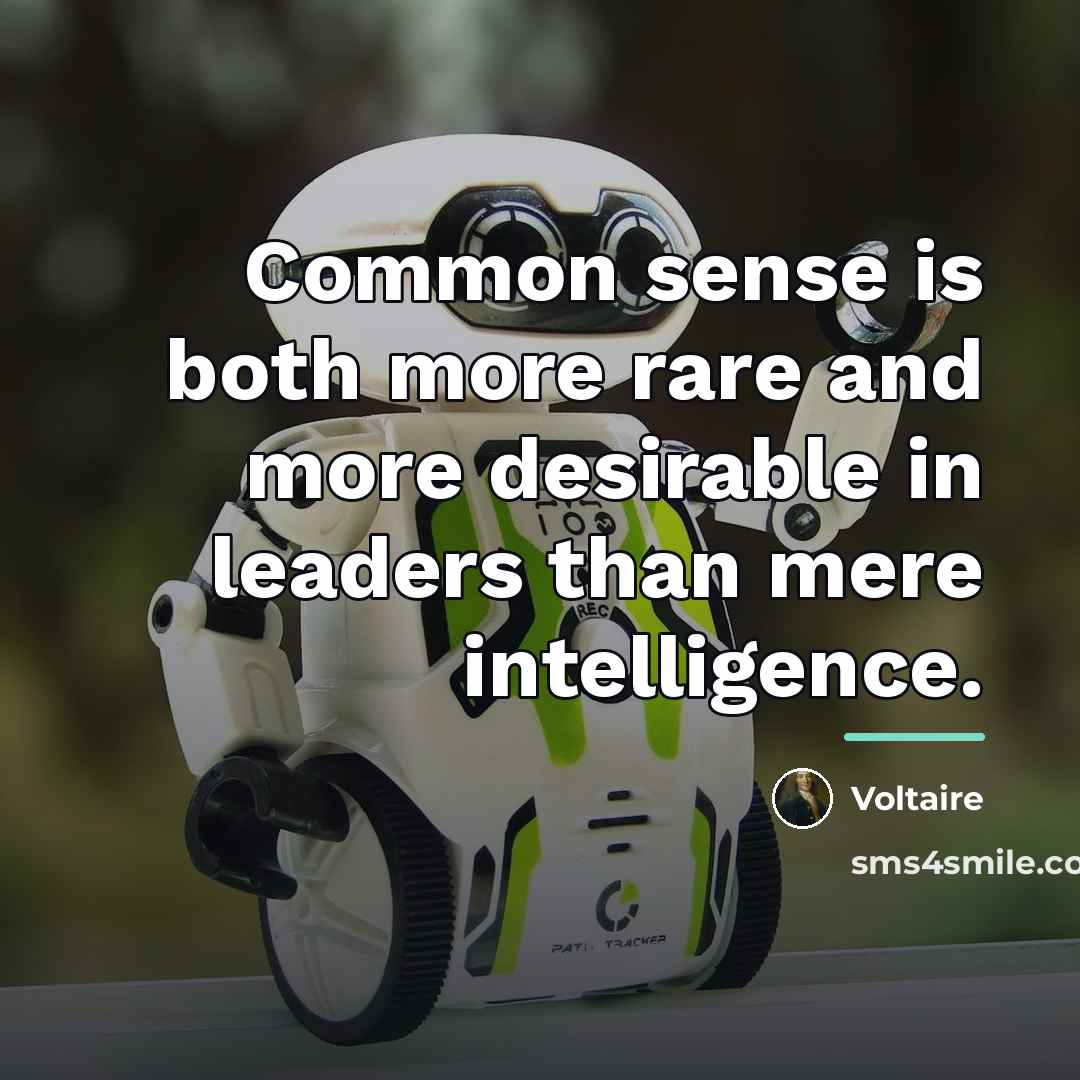 “Common sense is both more rare and more desirable in…” quote by Voltaire