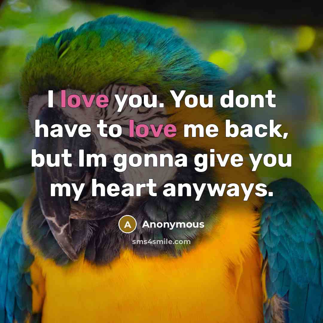 “I love you. You dont have to love me back,…” quote by Anonymous