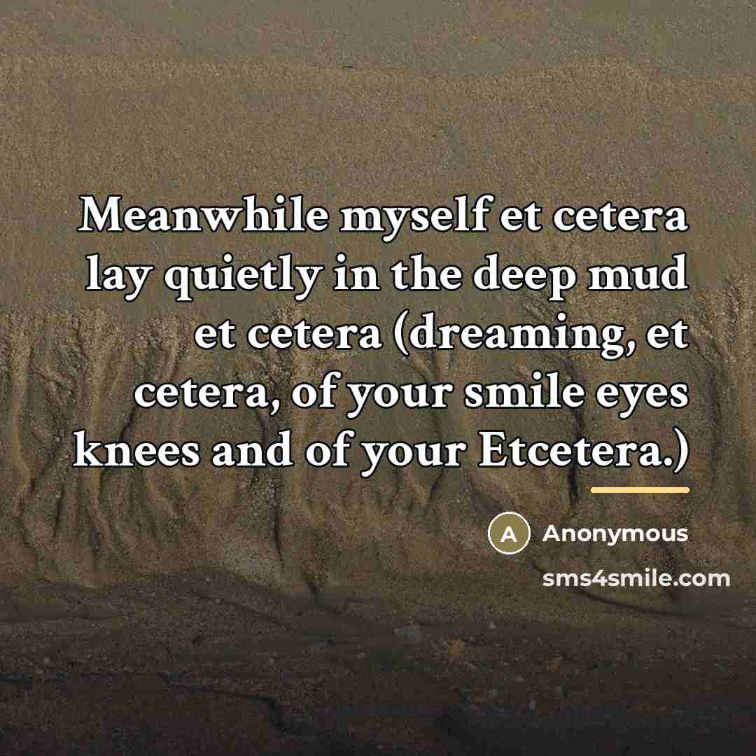“Meanwhile myself et cetera lay quietly in the deep mud…” quote by Anonymous