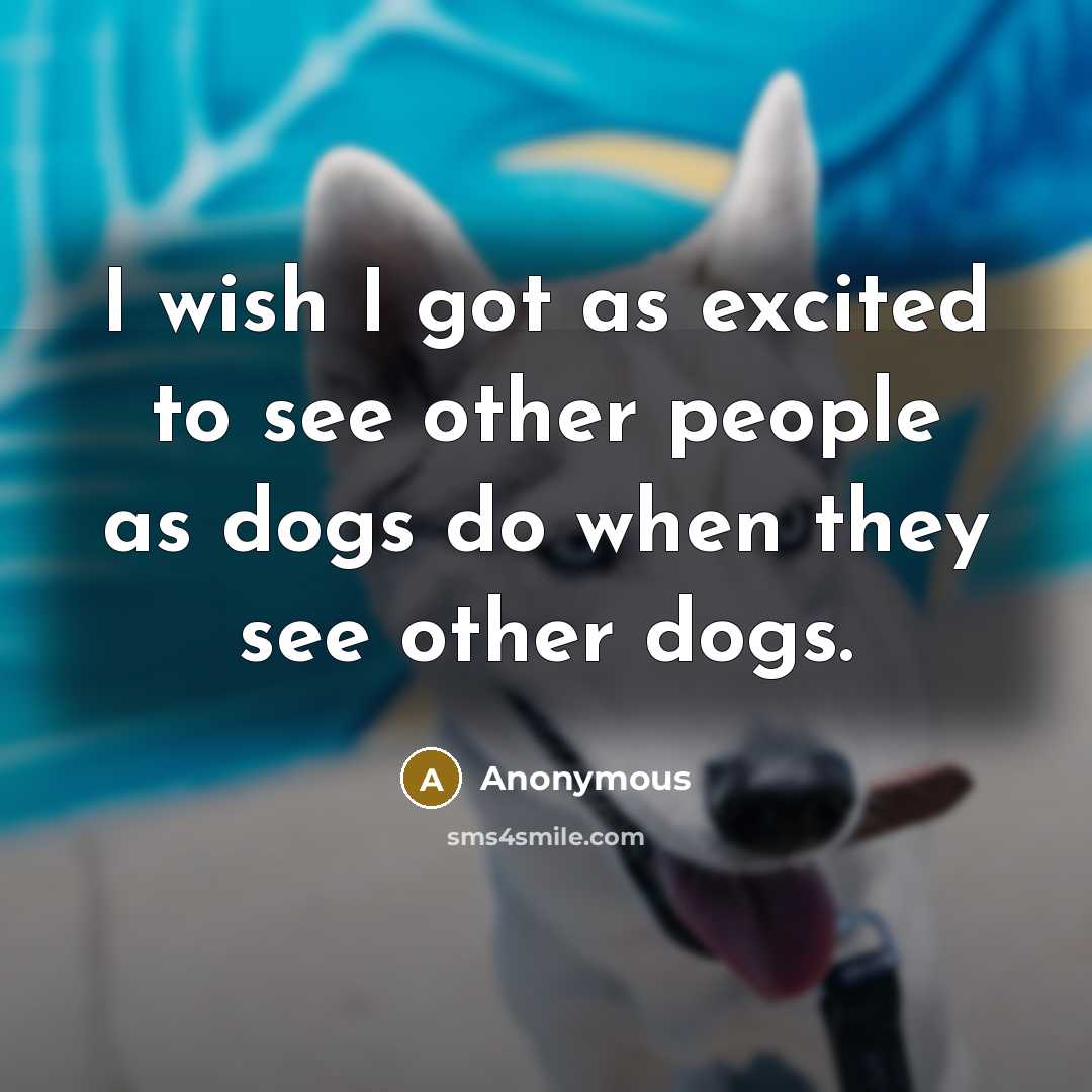 “I wish I got as excited to see other people…” quote by Anonymous