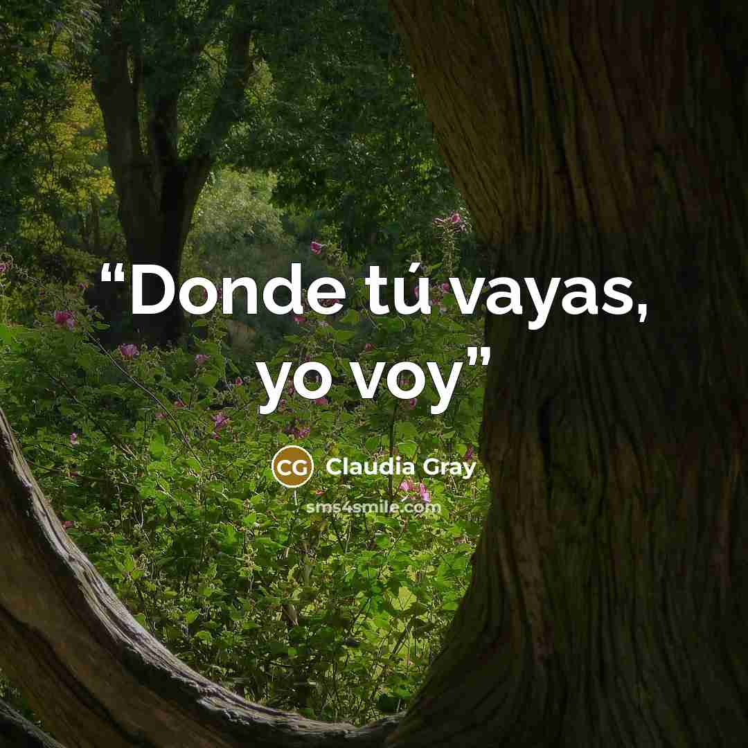 “Donde tú vayas, yo voy” quote by Claudia Gray