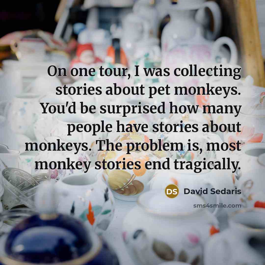 “On one tour, I was collecting stories about pet monkeys.…” quote by David Sedaris
