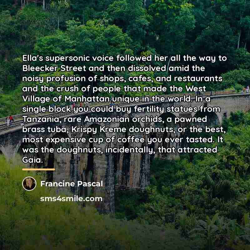 “Ella's supersonic voice followed her all the way to Bleecker…” quote by Francine Pascal