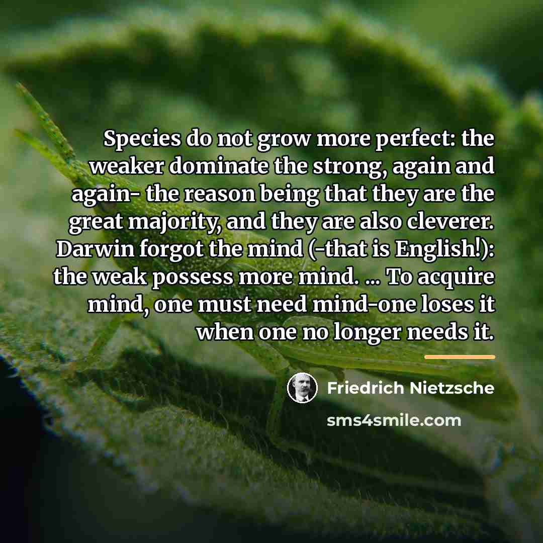 “Species do not grow more perfect: the weaker dominate the…” quote by Friedrich Nietzsche