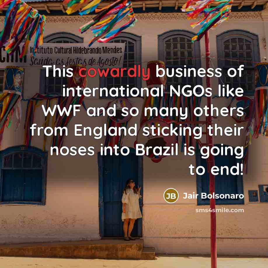 “This cowardly business of international NGOs like WWF and so…” quote by Jair Bolsonaro