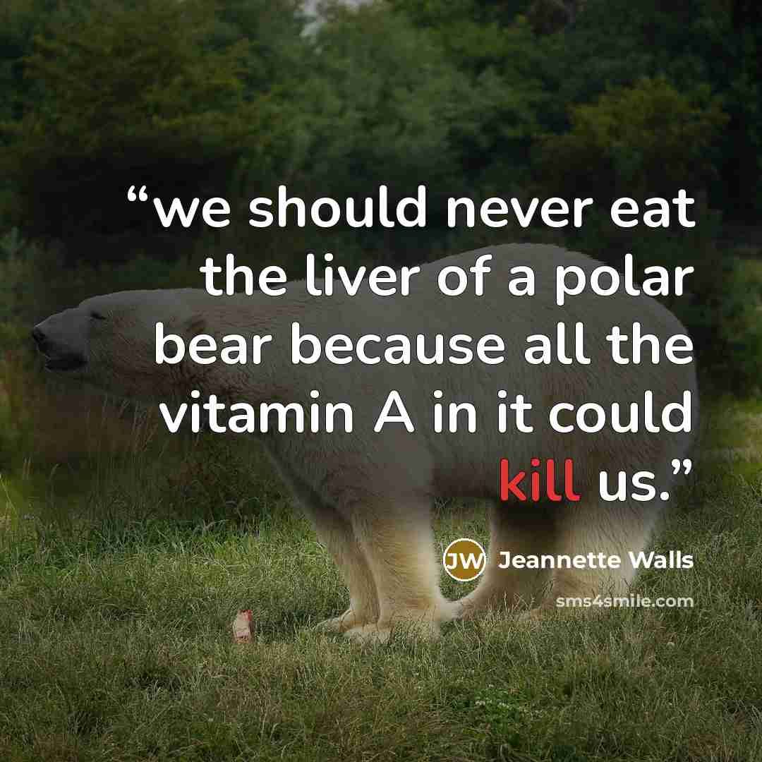 “we should never eat the liver of a polar bear because all the vitamin A in it could kill us.” quote by Jeannette Walls