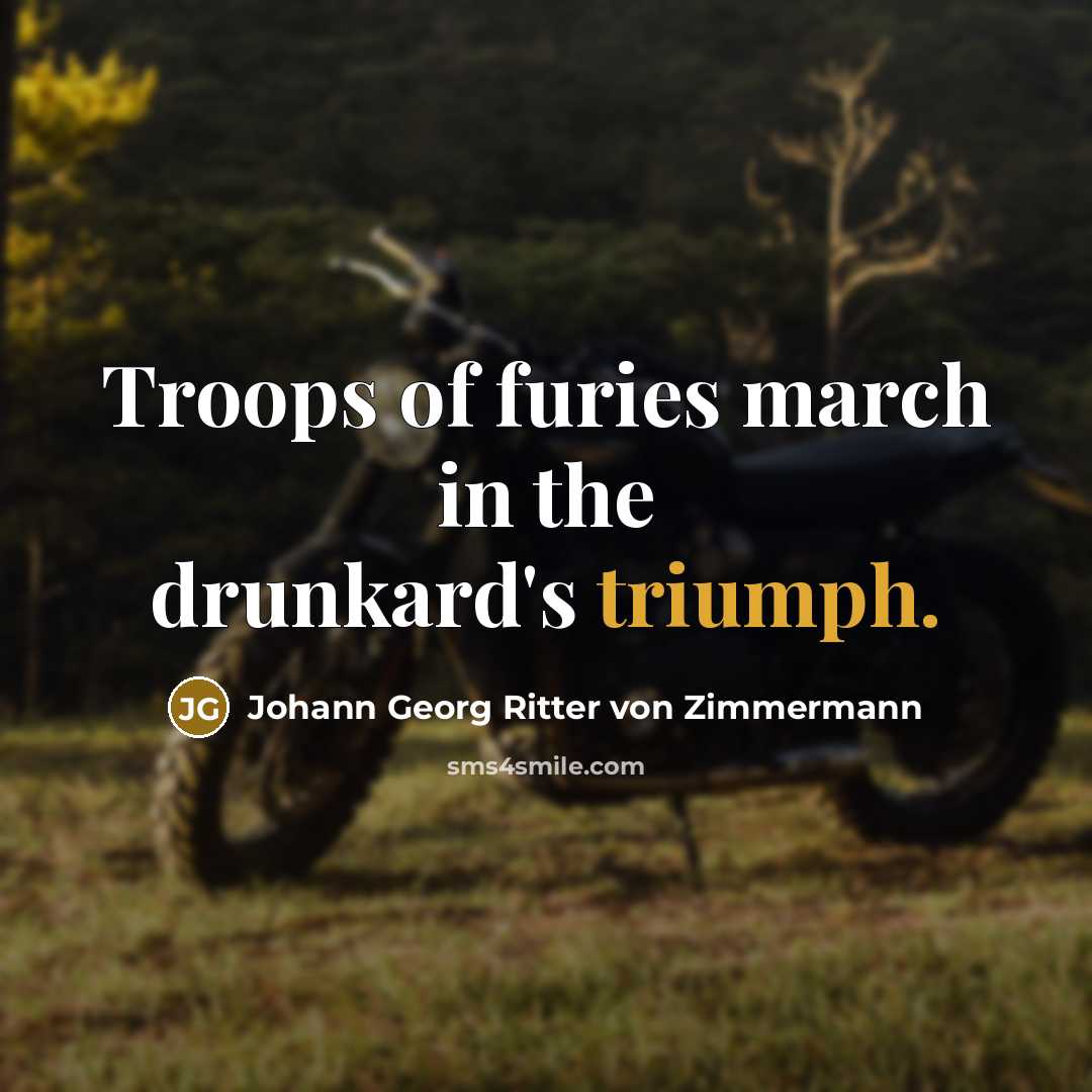 “Troops of furies march in the drunkard's triumph.…” quote by Johann Georg Ritter von Zimmermann