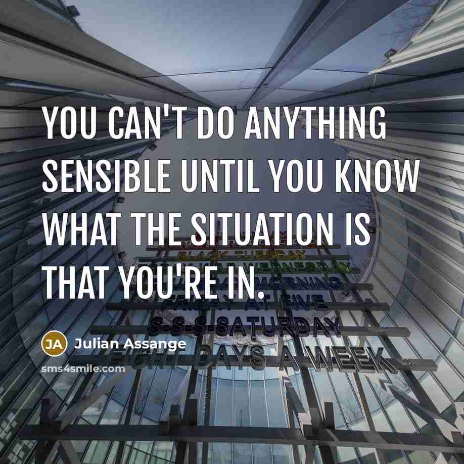 “You can't do anything sensible until you know what the…” quote by Julian Assange