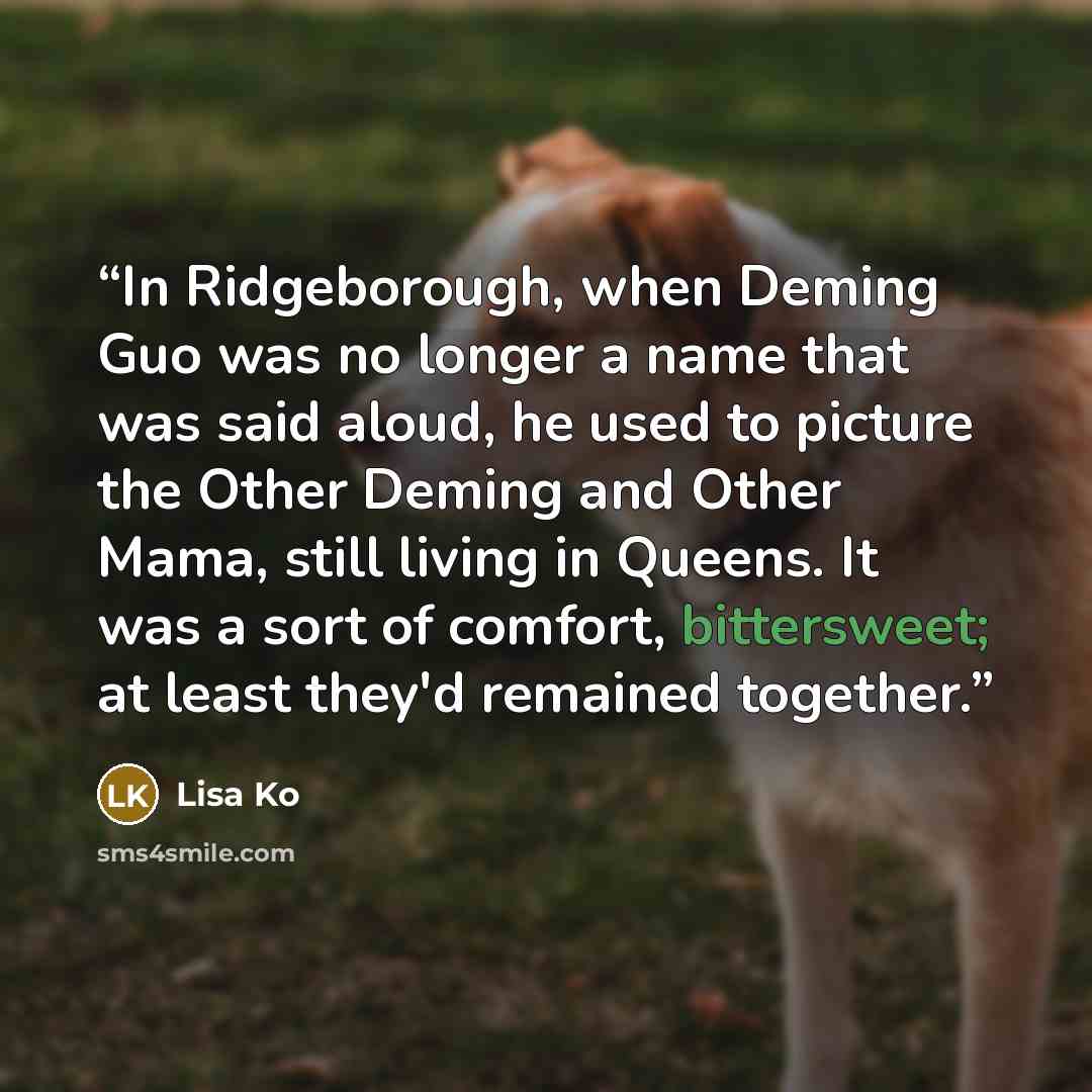 “In Ridgeborough, when Deming Guo was no longer a name that was said aloud, he used to picture the Other Deming and Other Mama, still living in Queens. It was a sort of comfort, bittersweet; at least they'd remained together.” quote by Lisa Ko