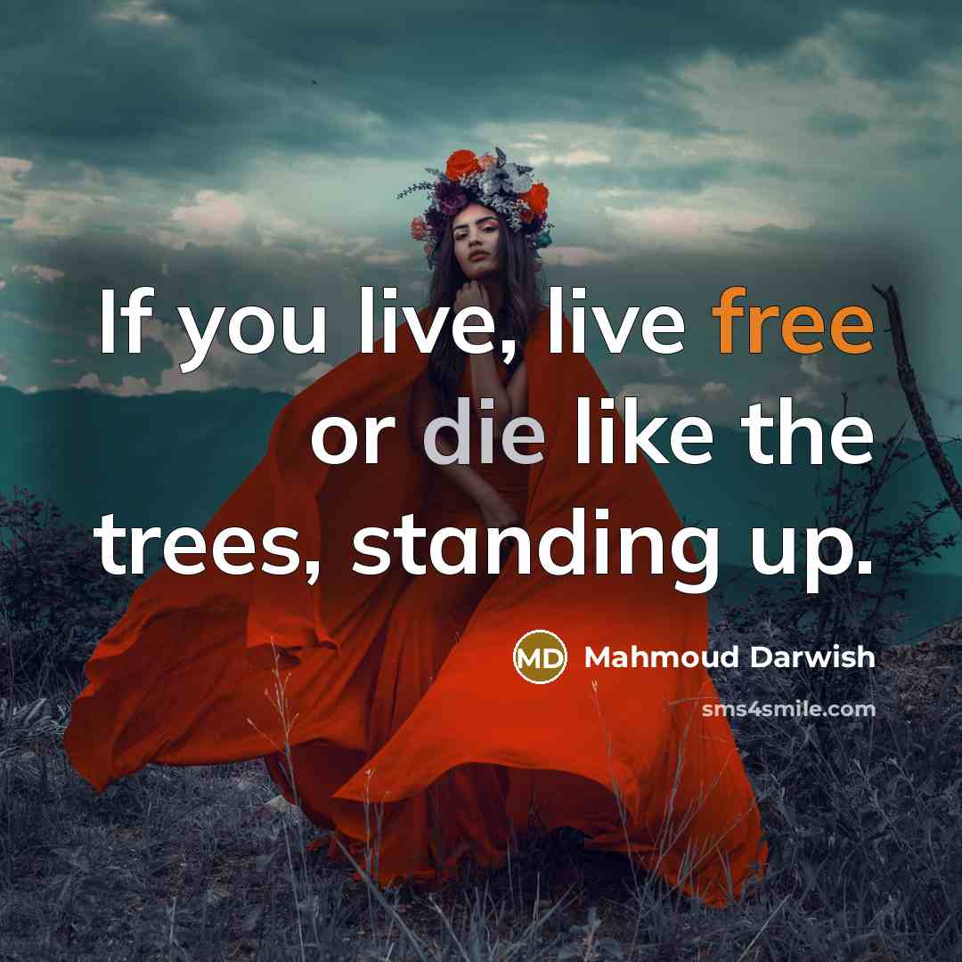 “If you live, live free or die like the trees,…” quote by Mahmoud Darwish