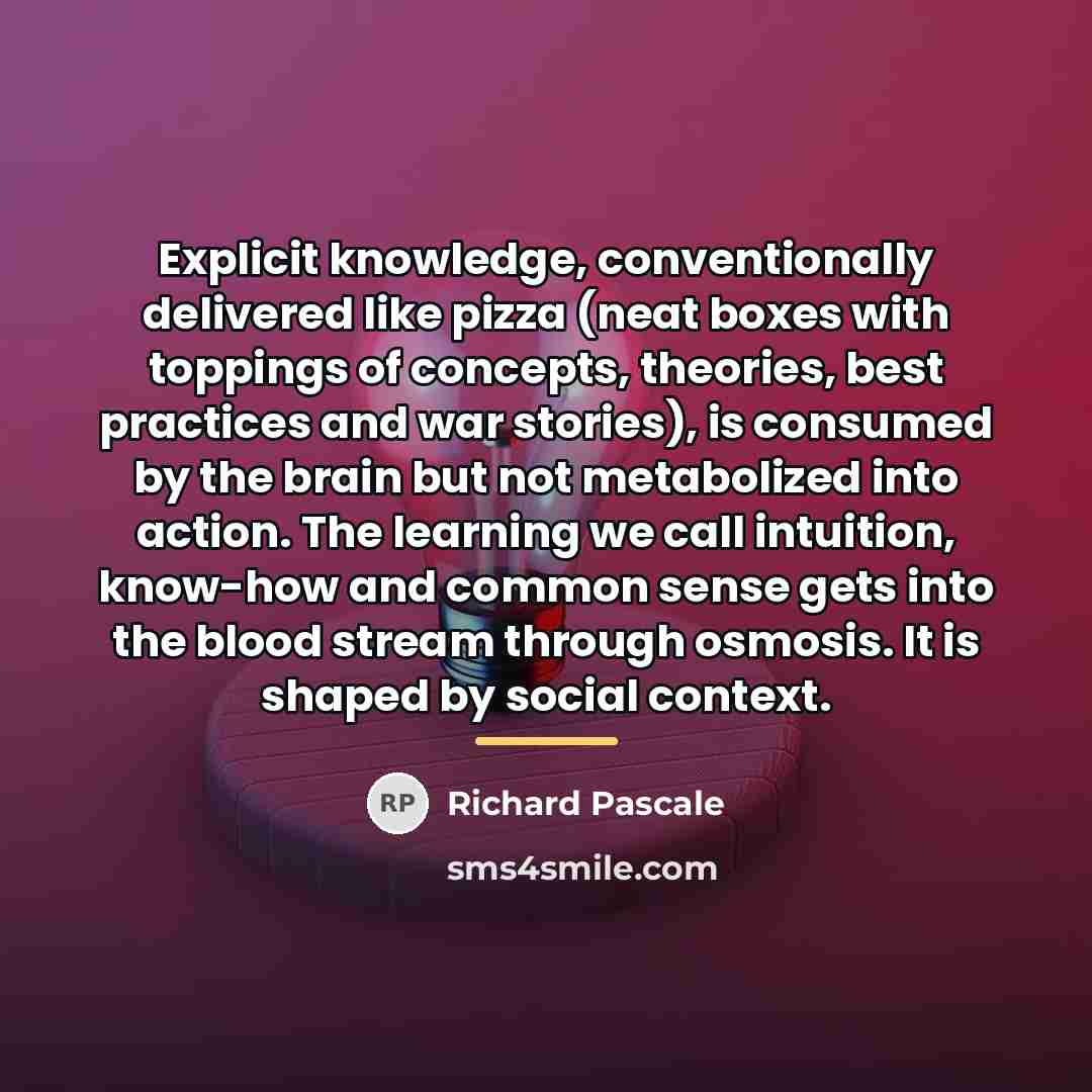 “Explicit knowledge, conventionally delivered like pizza (neat boxes with toppings…” quote by Richard Pascale