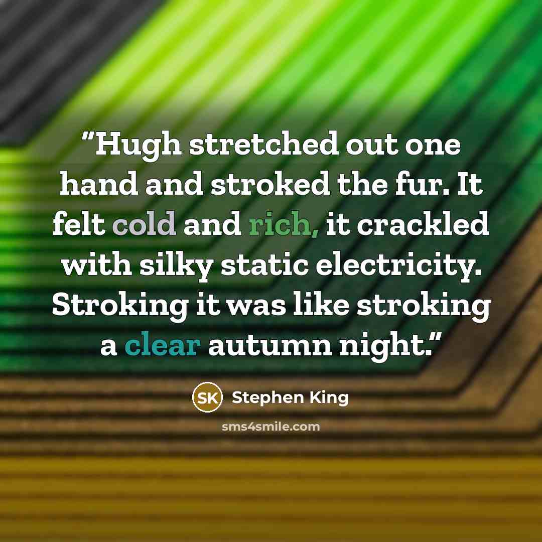 “Hugh stretched out one hand and stroked the fur. It felt cold and rich, it crackled with silky static electricity. Stroking it was like stroking a clear autumn night.” quote by Stephen King