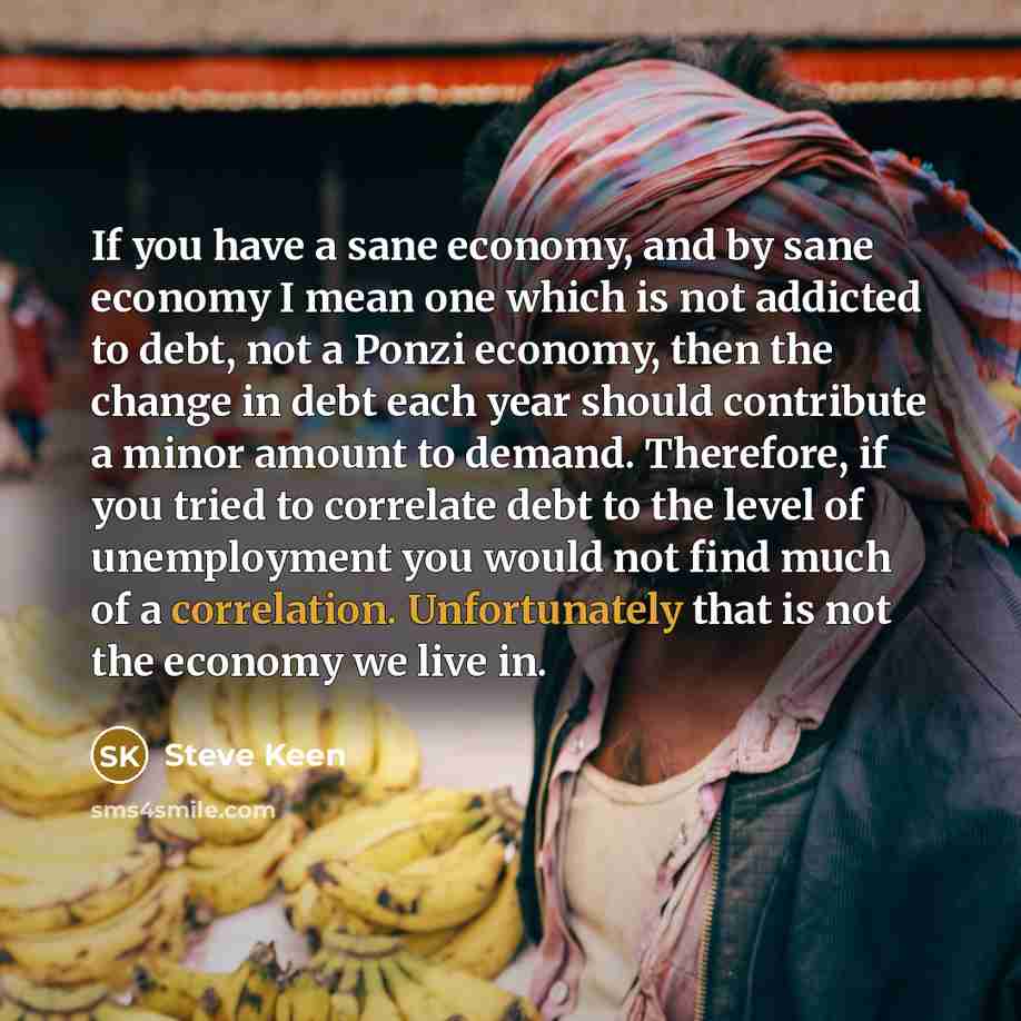 “If you have a sane economy, and by sane economy…” quote by Steve Keen