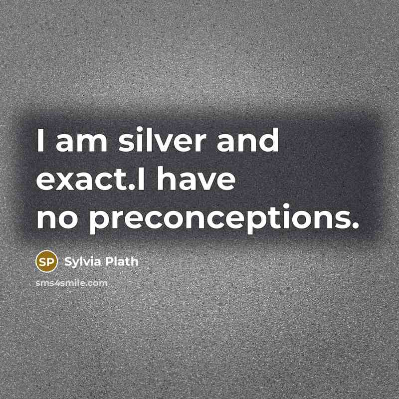 “I am silver and exact.I have no preconceptions.” quote by Sylvia Plath