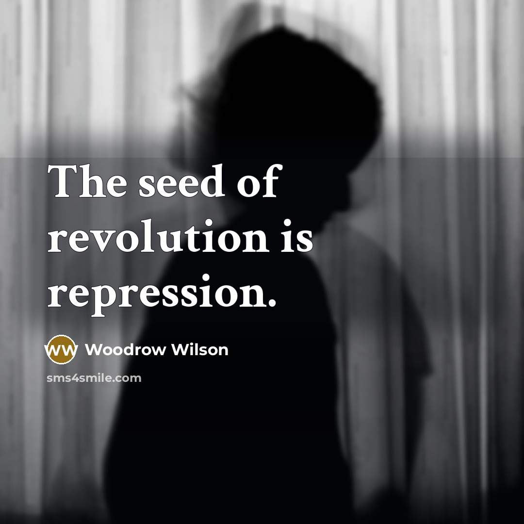 “The seed of revolution is repression.…” quote by Woodrow Wilson