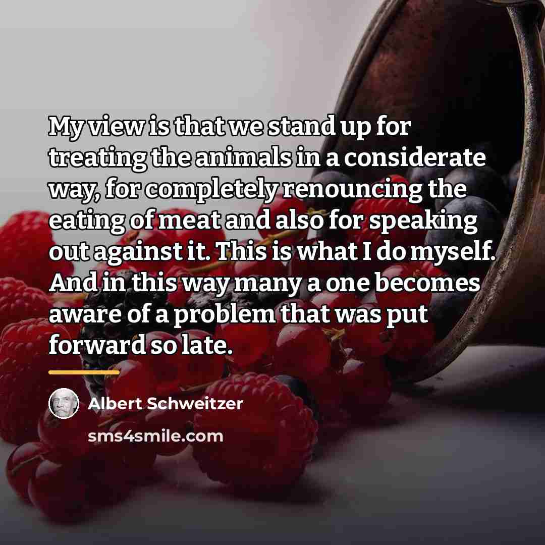 “My view is that we stand up for treating the…” quote by Albert Schweitzer