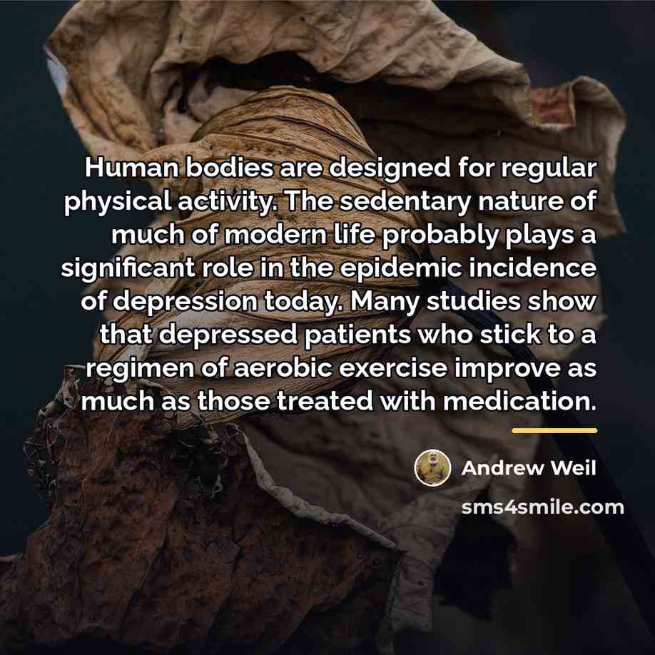 “Human bodies are designed for regular physical activity. The sedentary…” quote by Andrew Weil
