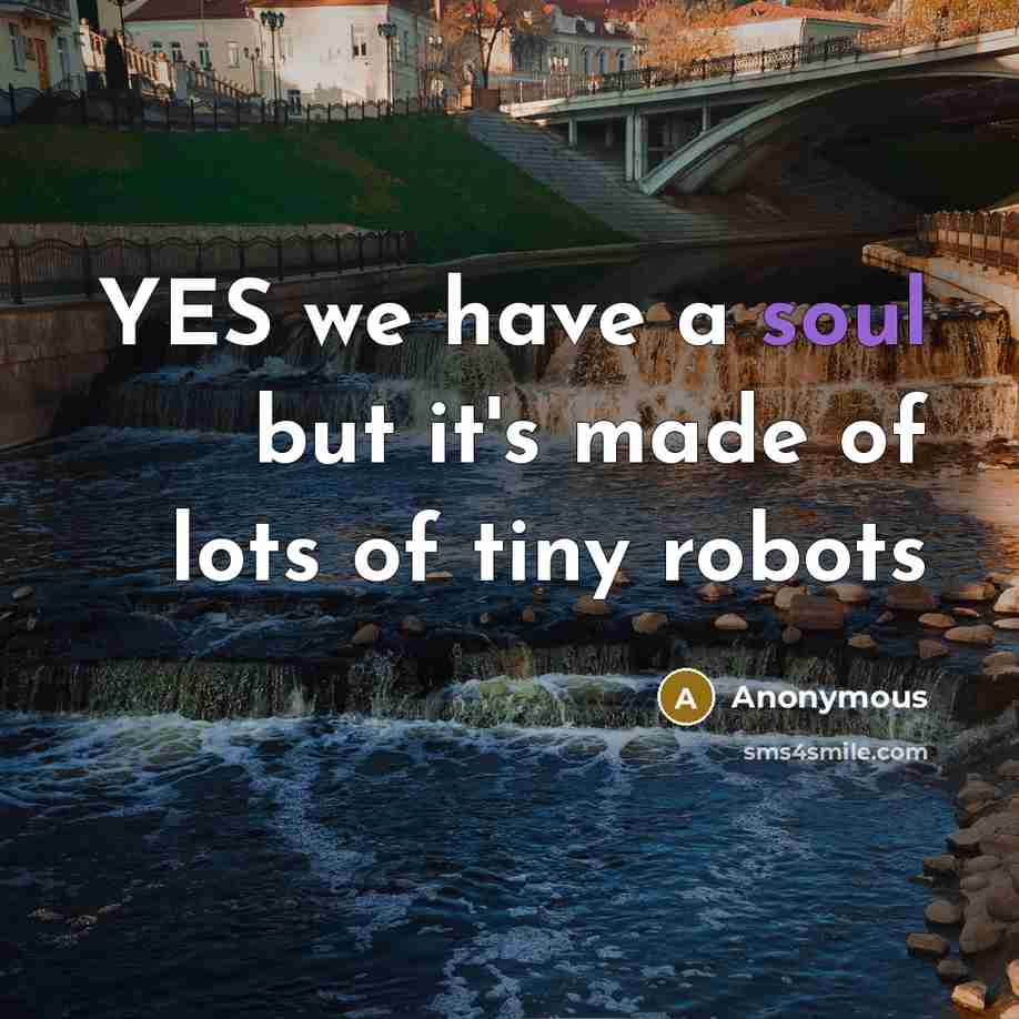 “YES we have a soul but it's made of lots…” quote by Anonymous