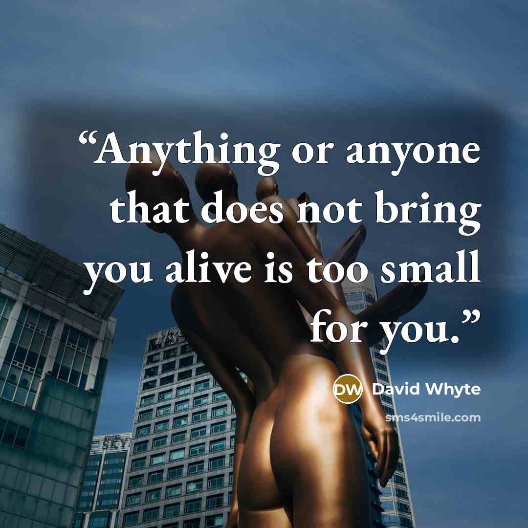 “Anything or anyone that does not bring you alive is too small for you.” quote by David Whyte