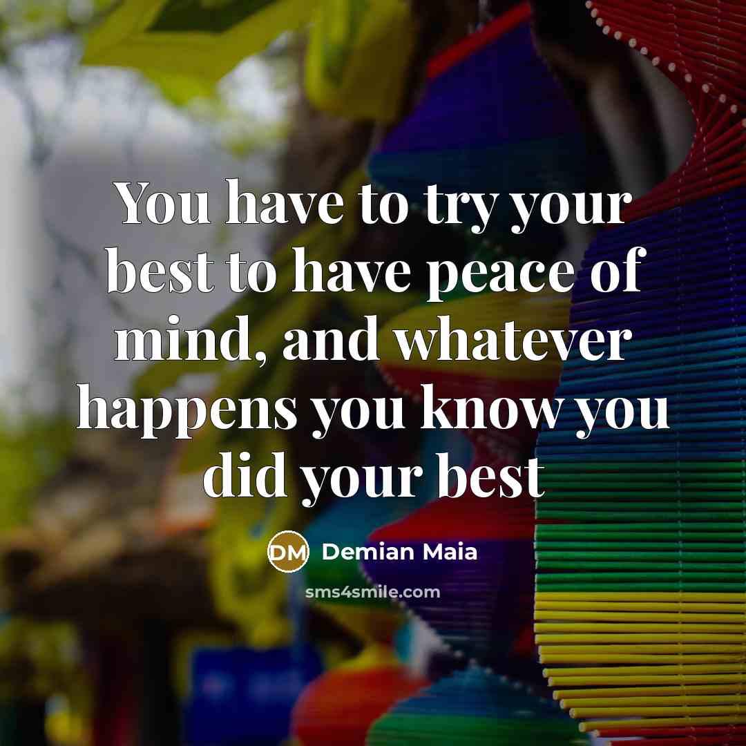 “You have to try your best to have peace of…” quote by Demian Maia