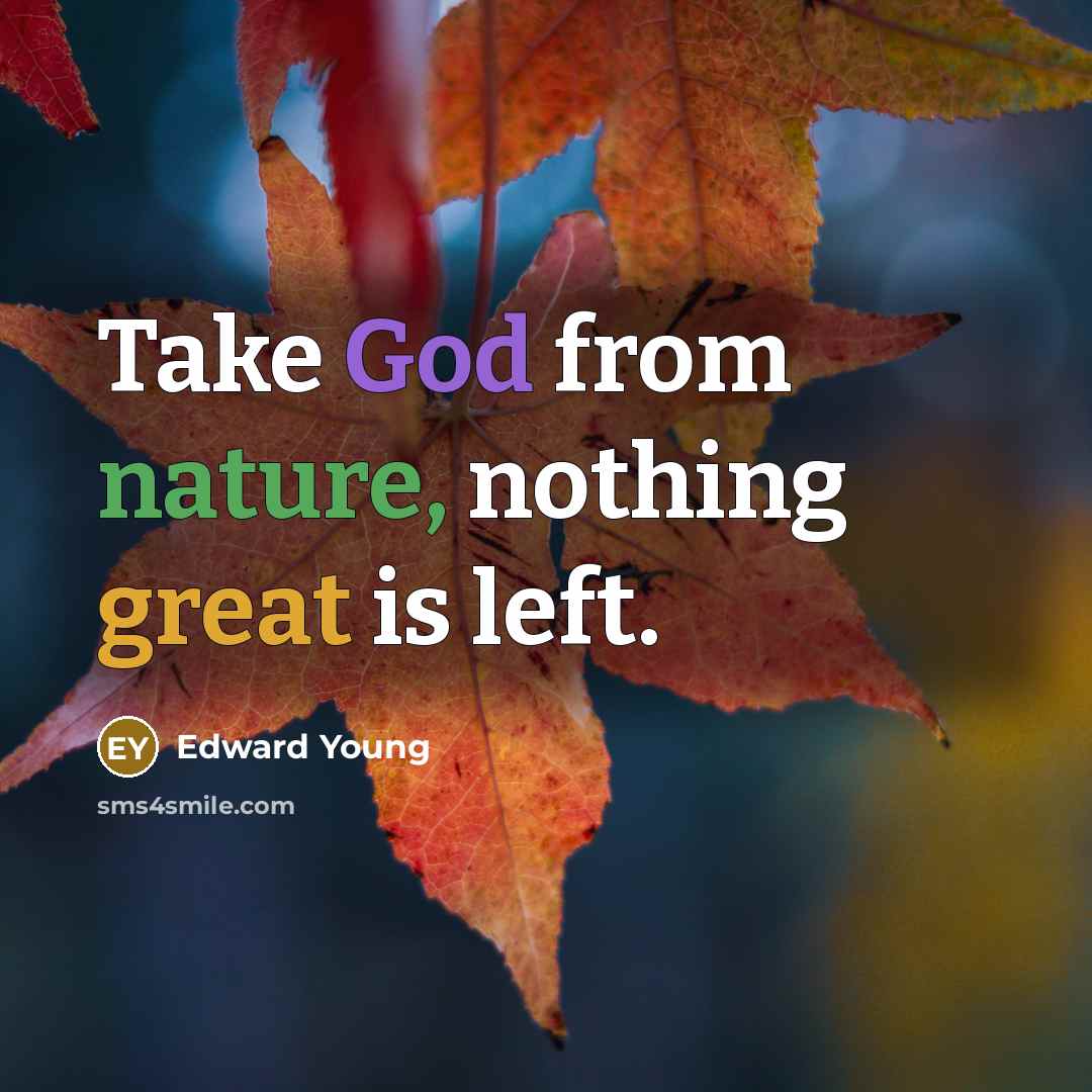 “Take God from nature, nothing great is left.” quote by Edward Young