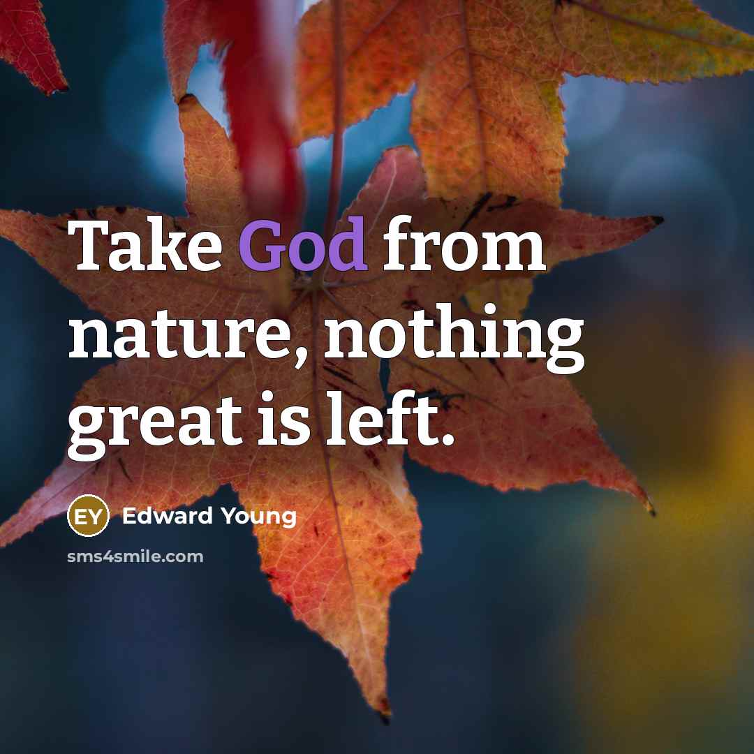 “Take God from nature, nothing great is left.…” quote by Edward Young