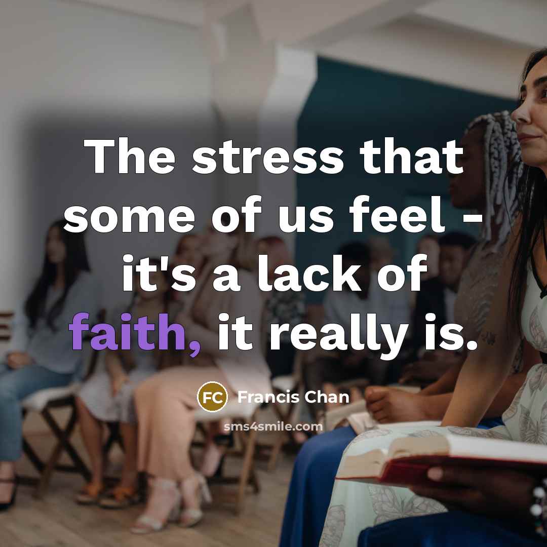 “The stress that some of us feel - it's a…” quote by Francis Chan