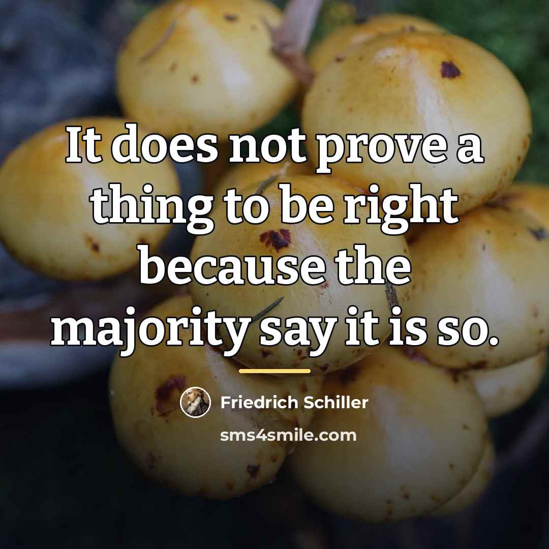“It does not prove a thing to be right because…” quote by Friedrich Schiller