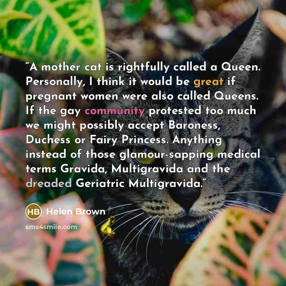 “A mother cat is rightfully called a Queen. Personally, I think it would be great if pregnant women were also called Queens. If the gay community protested too much we might possibly accept Baroness, Duchess or Fairy Princess. Anything instead of those glamour-sapping medical terms Gravida…” quote by Helen Brown
