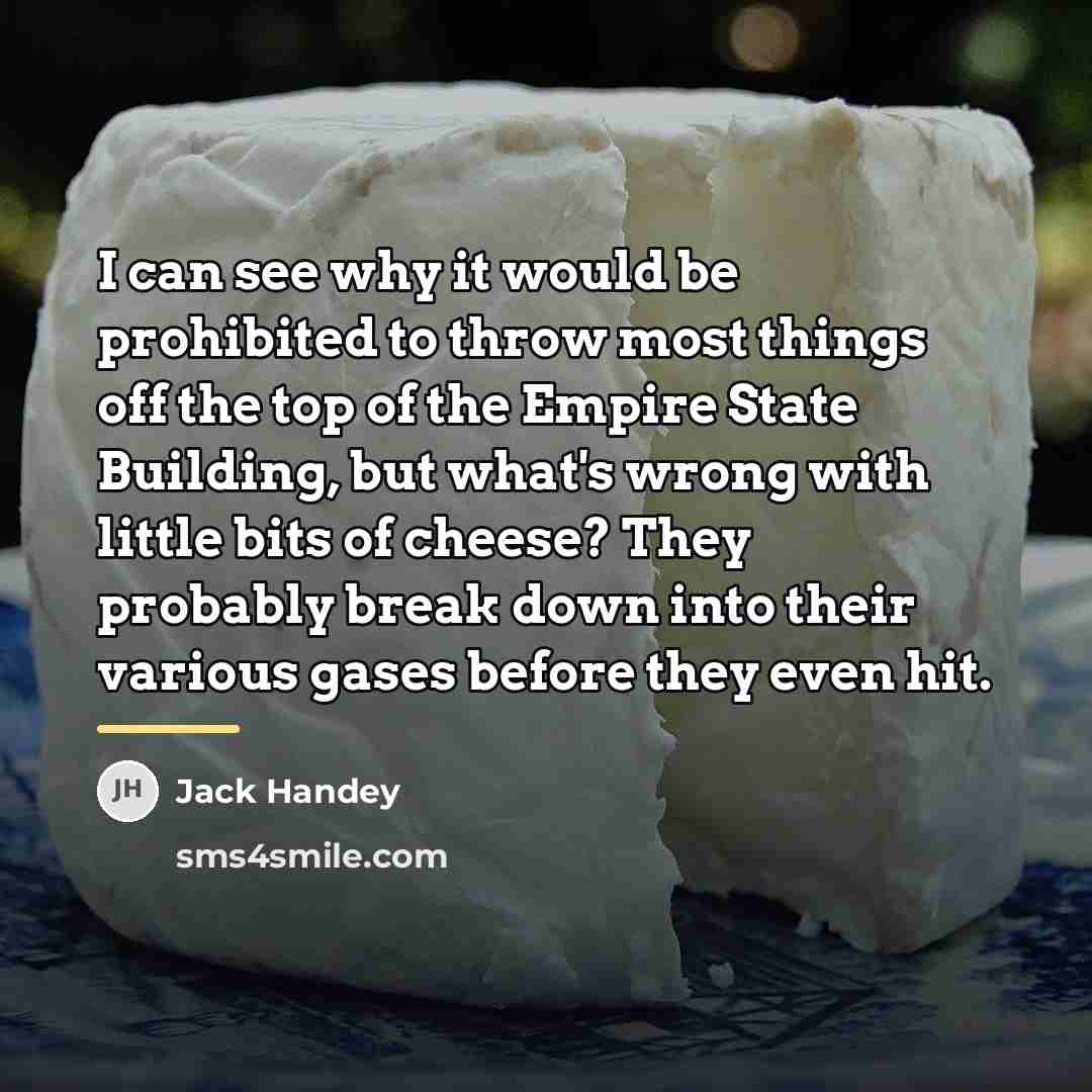 “I can see why it would be prohibited to throw…” quote by Jack Handey