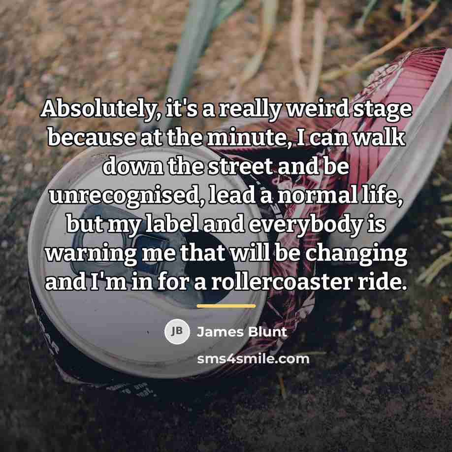 “Absolutely, it's a really weird stage because at the minute,…” quote by James Blunt