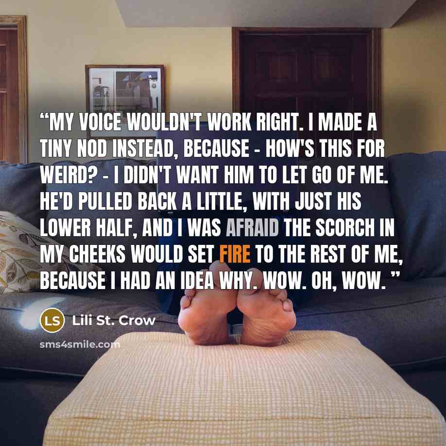 “My voice wouldn't work right. I made a tiny nod instead, because - how's this for weird? - I didn't want him to let go of me. He'd pulled back a little, with just his lower half, and I was afraid the scorch in my cheeks would set fire to the rest of me, because I had an idea why. Wow. Oh, wow.” quote by Lili St. Crow