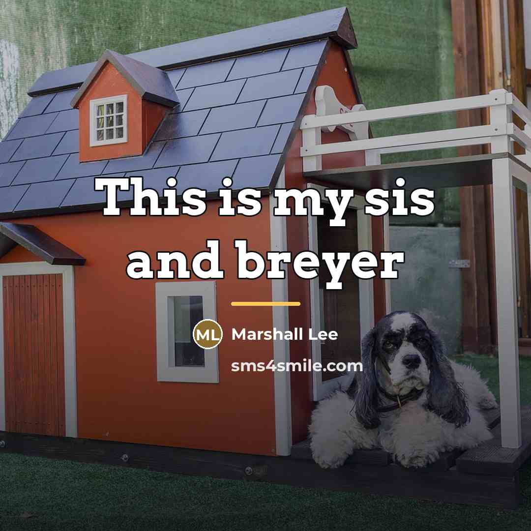 “This is my sis and breyer…” quote by Marshall Lee